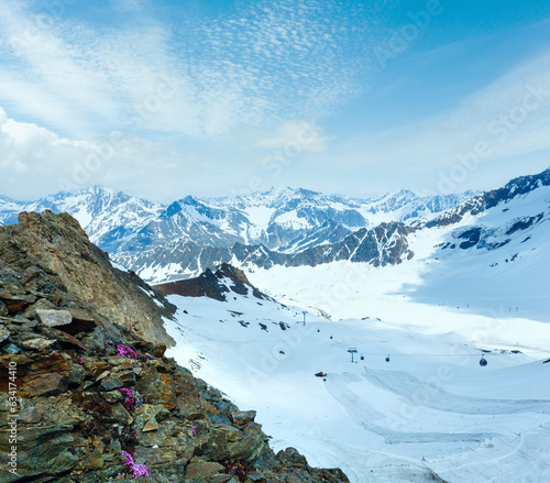 Mountain view from the Karlesjoch bahn upper station (3108m., near Kaunertal Gletscher on Austria-Italy border) with alp flowers  over cable ski lift photo