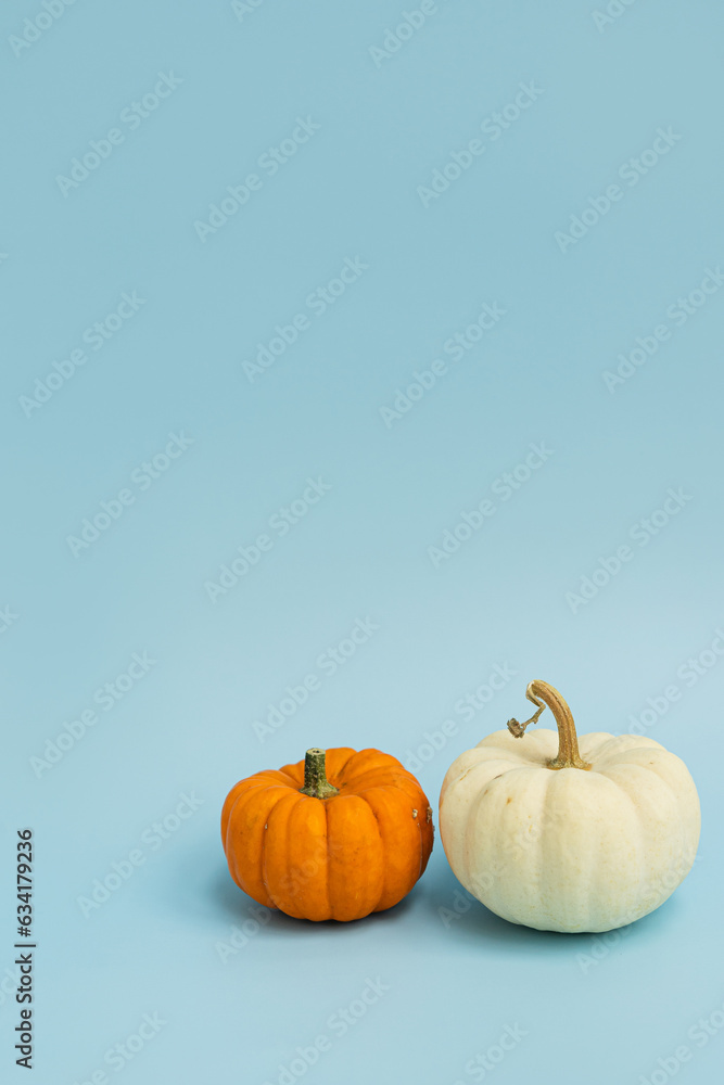 Beautiful decorative pumpkins on light blue background. Autumn fall season concept Beautiful decorative pumpkins on light blue background. Autumn fall season concept