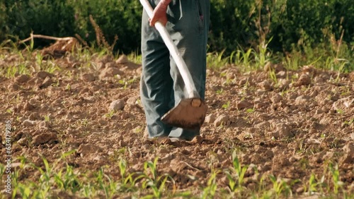 Farmer working in the field with a hoe. Close-up of a hoe plowing the ground. Agriculture concept. Greening environment, ecology photo