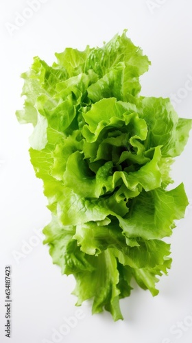 Farm-to-Table Delights: Fresh Lettuce Creations