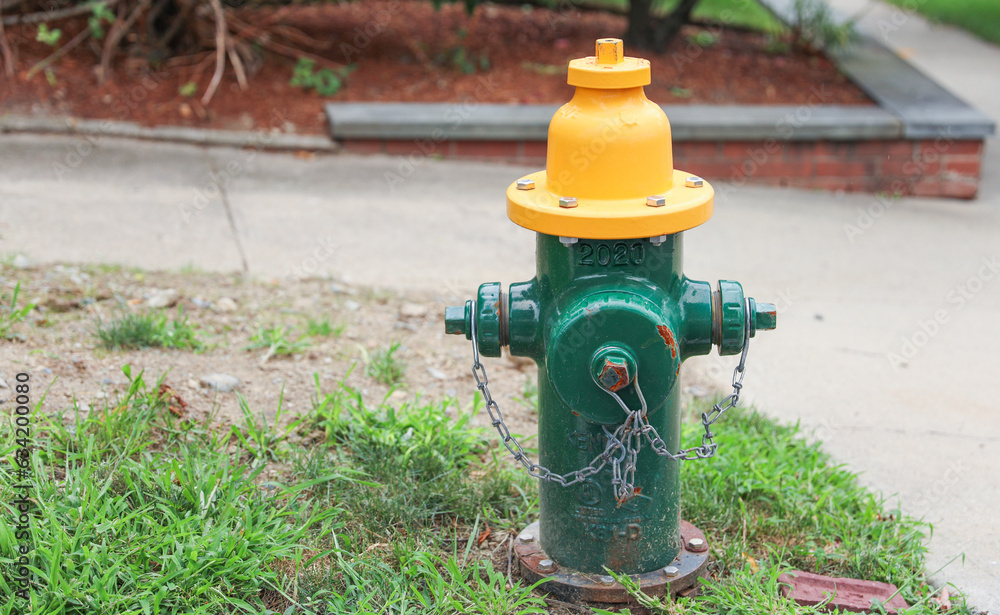 fire hydrant on a city street, a crucial icon of safety and preparedness, symbolizing firefighting readiness and urban protection fire hydrant on a city street, a crucial icon of safety and preparedness, symbolizing firefighting readiness and urban protection