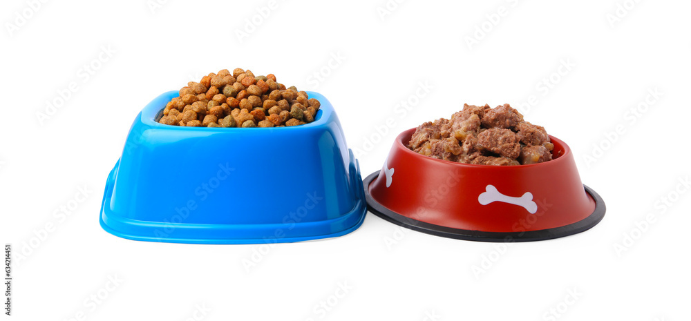 Dry and wet pet food in feeding bowls on white background Dry and wet pet food in feeding bowls on white background