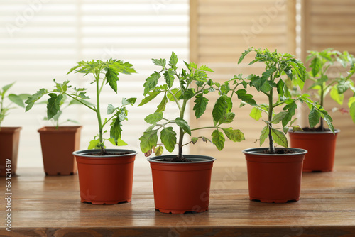 Seedlings growing in plastic containers with soil on wooden table indoors