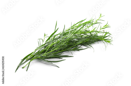 Bunch of fresh tarragon on white background