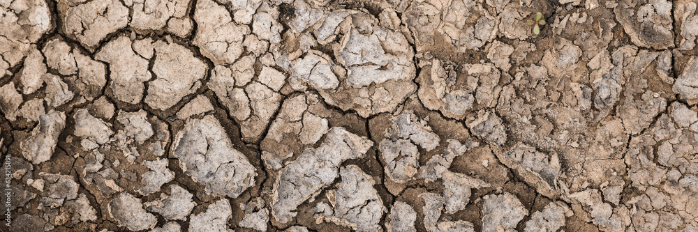 Dry cracked ground as background, top view. Banner design Dry cracked ground as background, top view. Banner design