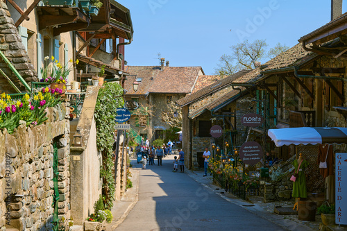 A landscape around Yvoire village on a sunny day, France