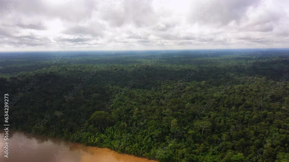 Tropical rainforest of the Amazon meets the river Tropical rainforest of the Amazon meets the river