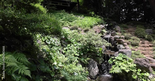 A Japanese garden pond at Tonogayato garden in summer sunny day tilt up photo