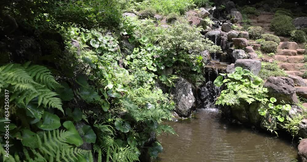 A Japanese garden pond at Tonogayato garden in summer sunny day