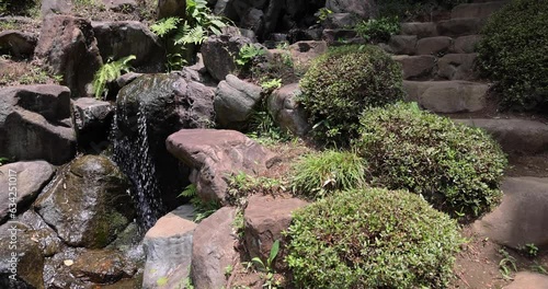 A Japanese garden pond at Tonogayato garden in summer sunny day photo