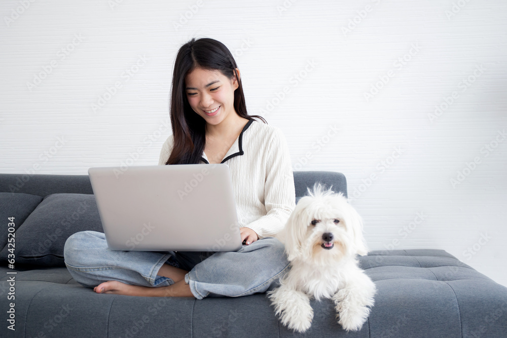 Beautiful young asian woman smile sitting working on laptop computer to internet online with cozy with companion dog in the living room at home, woman leisure with pet, lifestyles concept. Beautiful young asian woman smile sitting working on laptop computer to internet online with cozy with companion dog in the living room at home, woman leisure with pet, lifestyles concept.