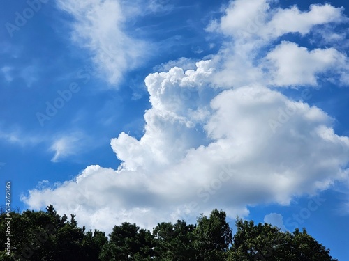 Blue sky with puffy clouds