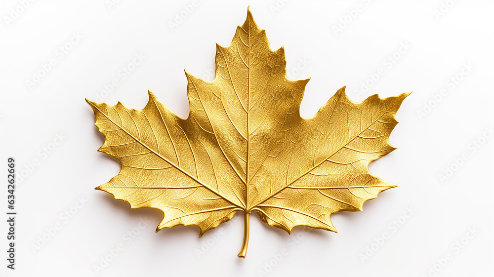 golden maple leaf isolated on white metal background