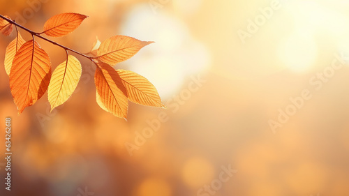 autumn abstract background, elm branch with yellow leaves on a background with a copy space, october sky
