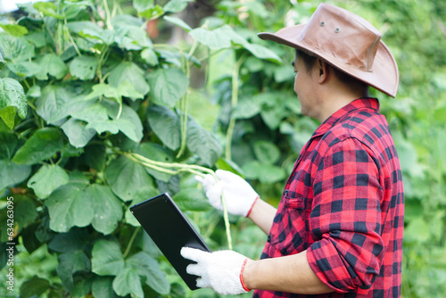  Asian man gardener holds smart tablet to inspect growth and plants diseases in garden. Concept, smart farmer search informations to develop agriculture crops. Check and search from internet. 