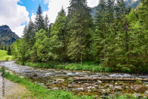 mountain stream in the Tatras, beautiful landscape
