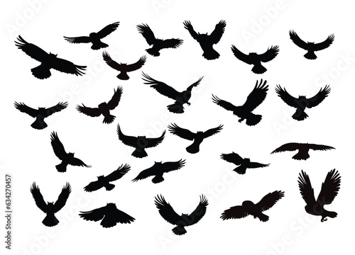 Flying Crow Silhouettes in Various Angles