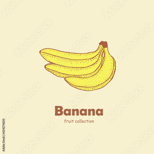 Banana , banana branch , logo , doodle ,line art, yellow fruits , bananas ,sketch, drawing, vector illustration, package logo
