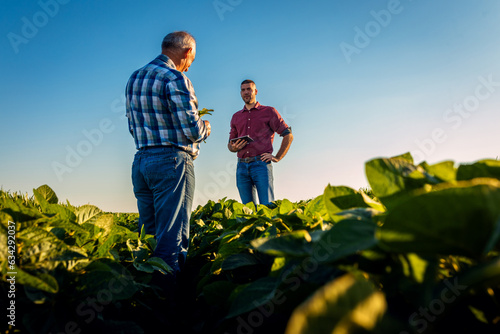 Two farmers talking in a field examining soy crop.