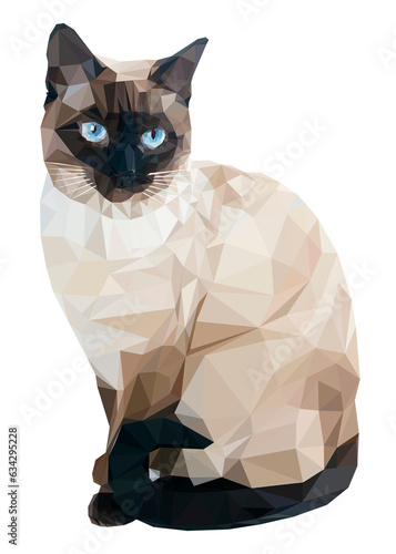 cat isolated on white background