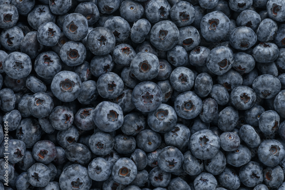 Fresh ripe washed blackberries background Fresh ripe washed blackberries background