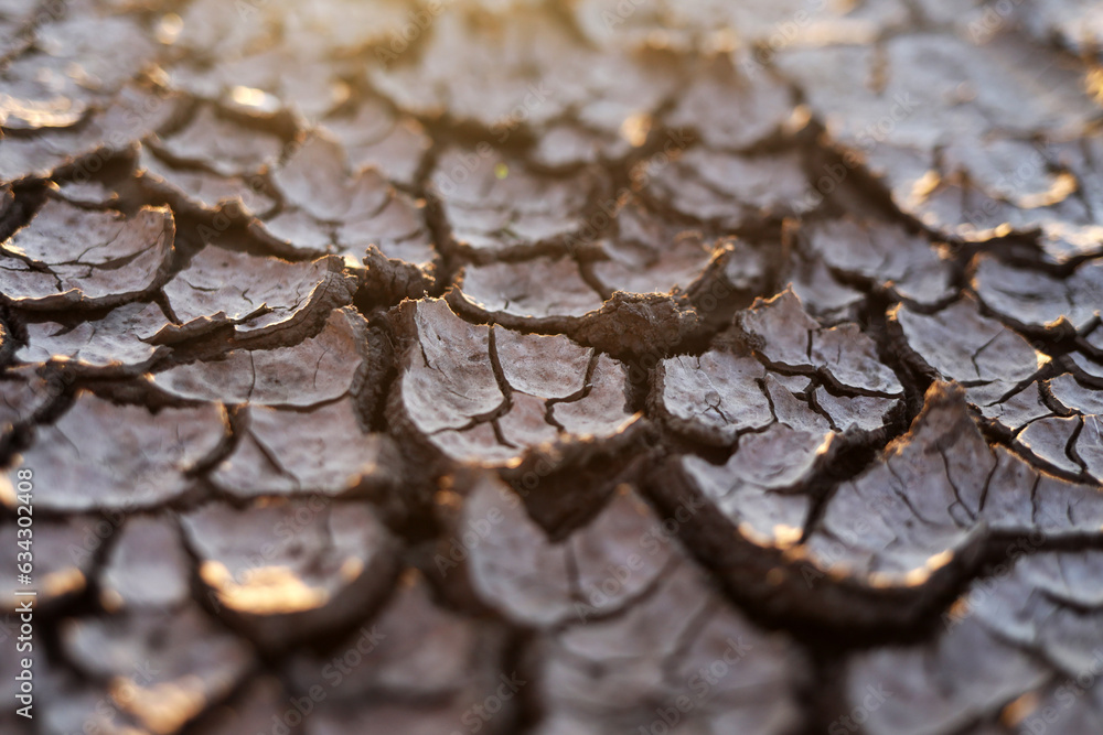 Fototapeta premium Dry cracked earth background, texture in sunset rays