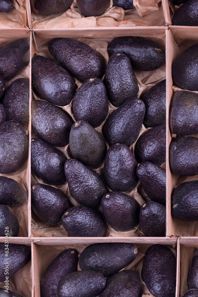 Purple avokado top view in the paper  box