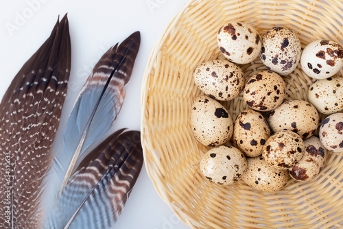 Quial eggs and quial feathers on white background photo