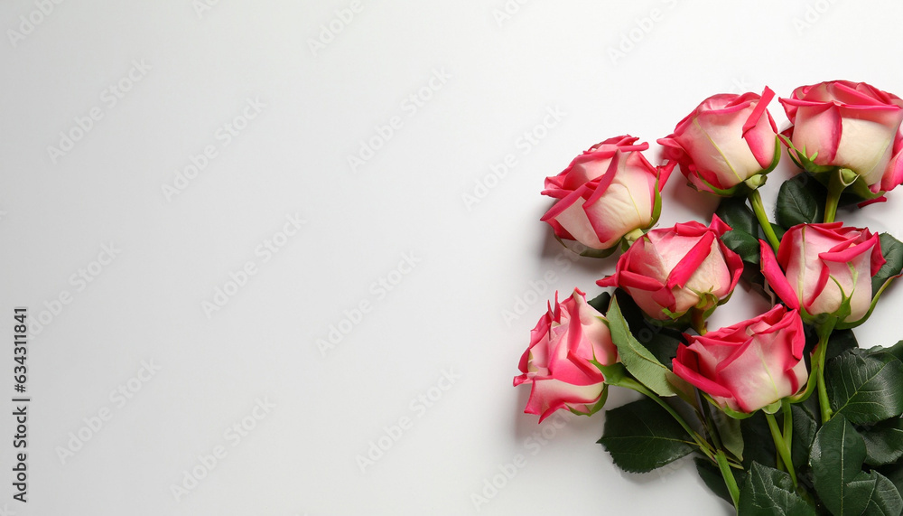 Beautiful roses on white background, flat lay with space for text. Funeral symbol Beautiful roses on white background, flat lay with space for text. Funeral symbol