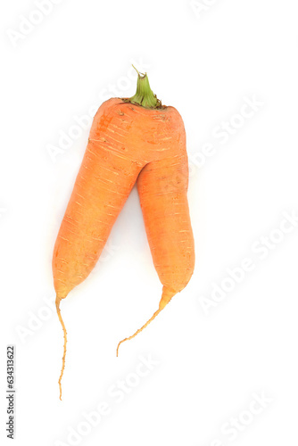 Forked misshaped carrot vegetable, caused by pythium fungus or soil filled with small rocks. Organic health food high in fiber, beta carotene, vitamin A, K and calcium. On white. photo