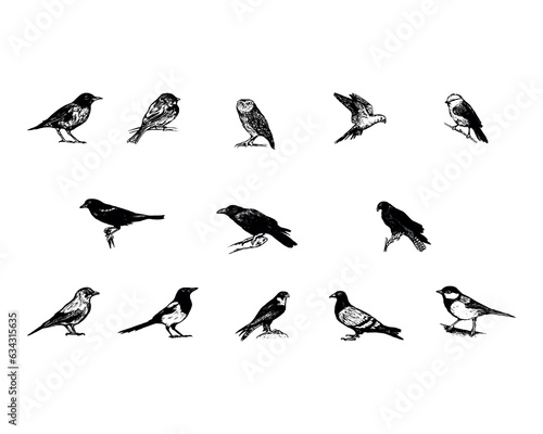Collection of bird icons, birds arts. Birds silhouettes vector illustration.