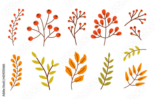 Colorful set of different branches with leaves, red berries isolated on a white background. Vector illustration