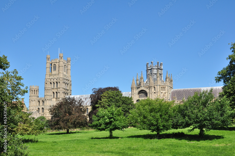 Ely Cathedral and Trees in Summer