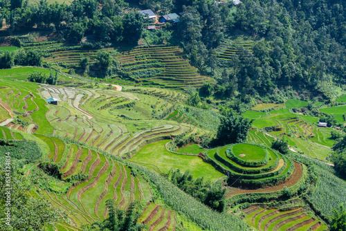 countryside view of sapa valley, vietnam