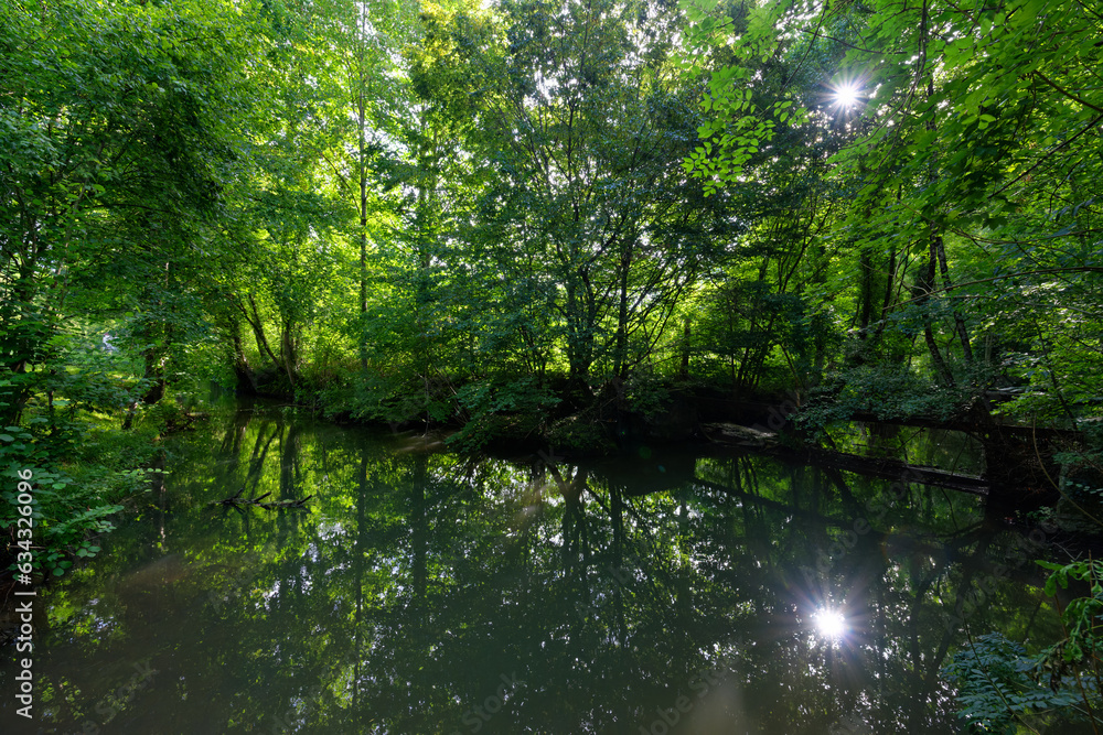 Orvanne river in Moret-Loing-et-Orvanne village. French Gatinais Regional Nature Park Orvanne river in Moret-Loing-et-Orvanne village. French Gatinais Regional Nature Park