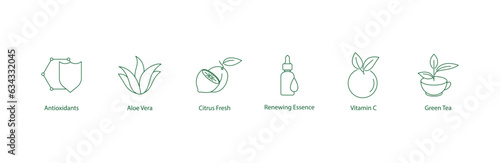Nature's Vitality Unleashed: Harnessing the Power of Antioxidants, Aloe Vera, Citrus Freshness, Renewing Essence, Vitamin C, and Green Tea for a Revitalizing Skincare Experience