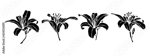 Set of lily flowers silhouettes. Vector graphics.