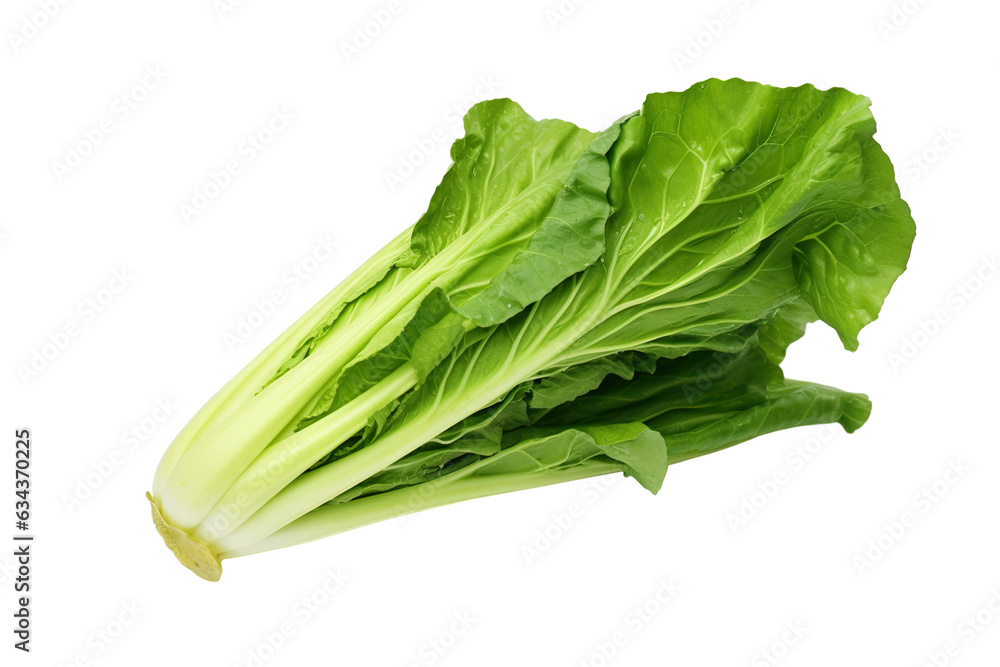 Close-up green vegetable isolated on transparent or white background PNG Close-up green vegetable isolated on transparent or white background PNG
