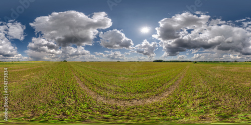 spherical 360 hdri panorama among green grass farming field with storm clouds on blue sky in equirectangular seamless projection  use as sky dome replacement  game development as skybox or VR content