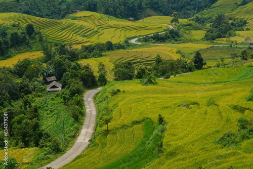 road on rice terrace