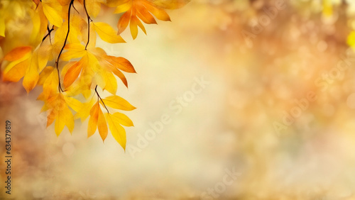 Autumn leaves decorate beautiful natural bokeh background  panorama wide format