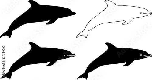 set of dolphins