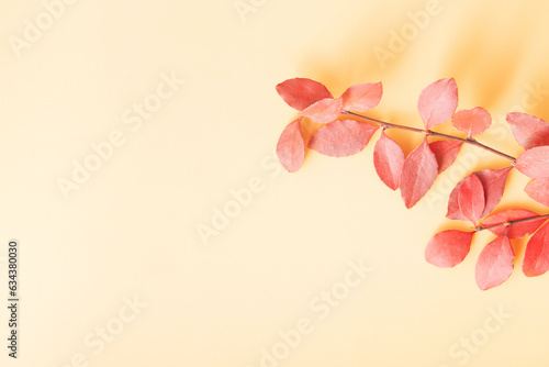 Red Autumn Fall Leafs on yellow background with copy space