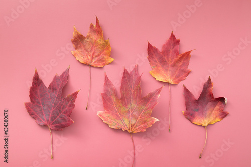 Red Autumn Fall Maple Leafs on red background