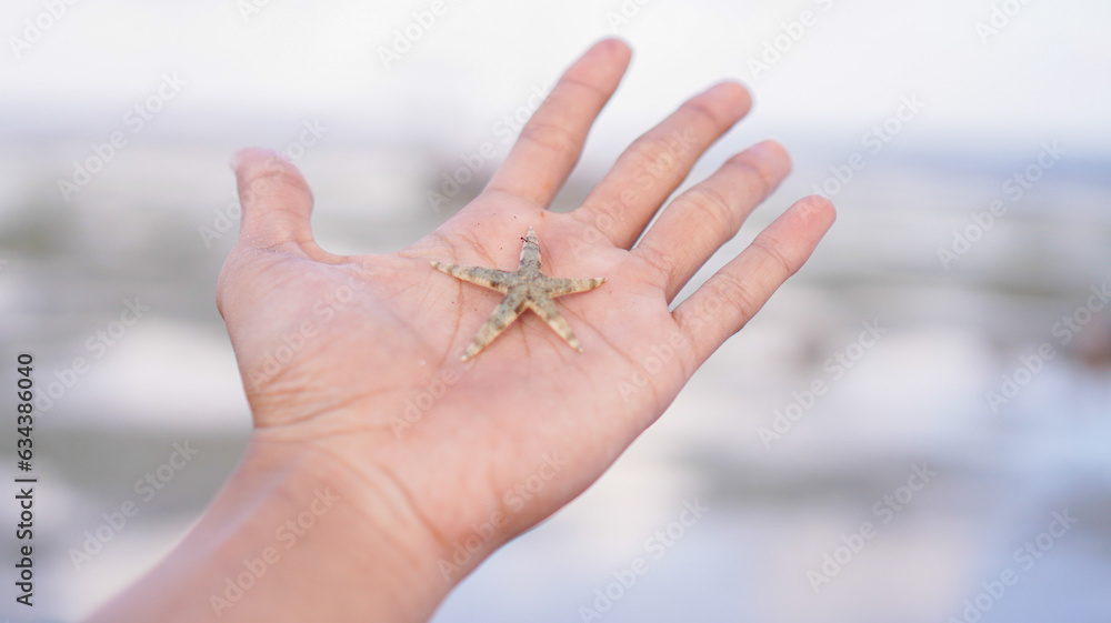 starfish on human hand in the beach with copy space