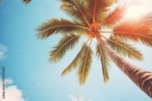 Idyllic Tropical Paradise with Palm Trees and Blue Sky © bomoge.pl