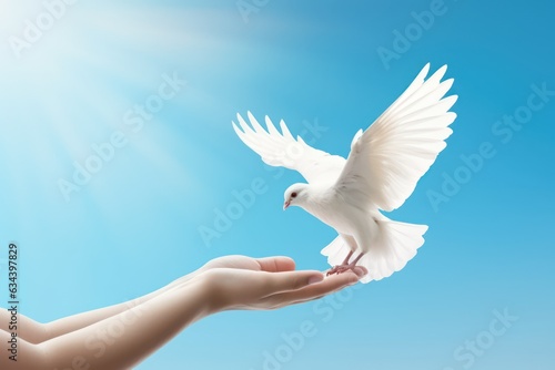 Hands holding white dove bird on blue