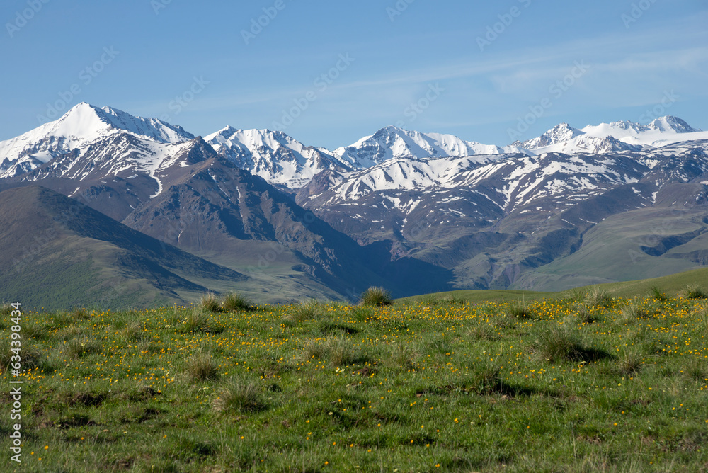 Fototapeta premium Alpine meadow on the background of snowy peaks. Kabardino-Balkaria
