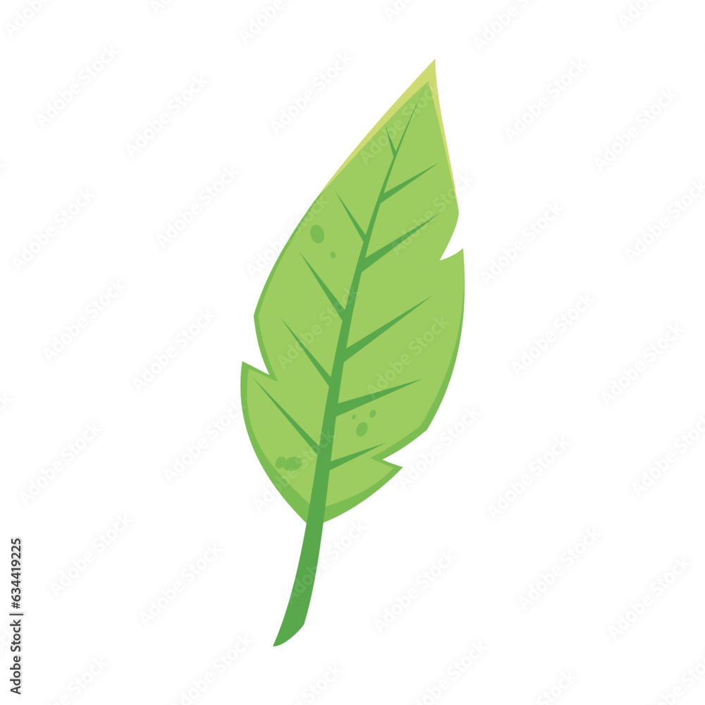 Autumn green leaf flat. Cartoon drawing of floral autumnal element, green leaf. Autumn decoration, nature concept.