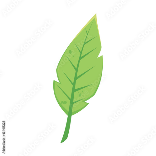 Autumn green leaf flat. Cartoon drawing of floral autumnal element  green leaf. Autumn decoration  nature concept.